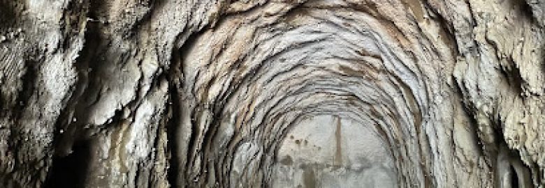 Rijo Speedboat Tours