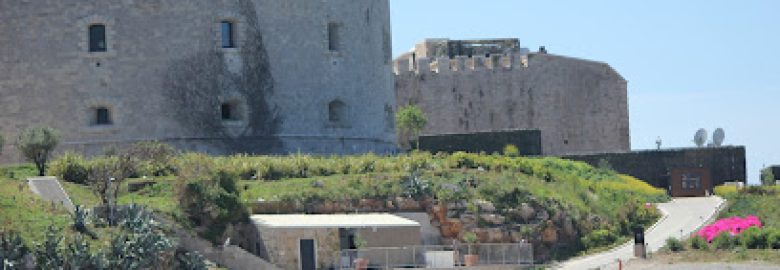 Montenegrowaves Speedboat Tour