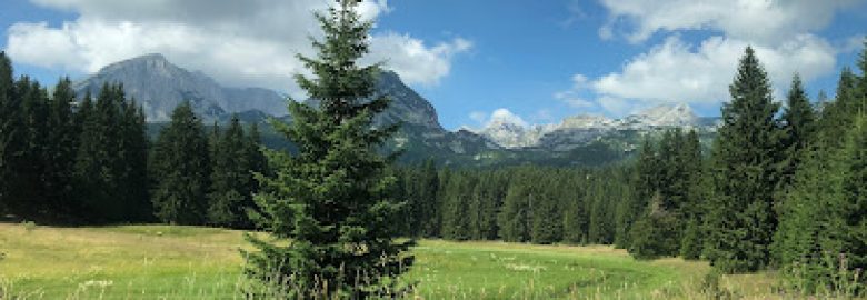 Boka Surf Travel Doo