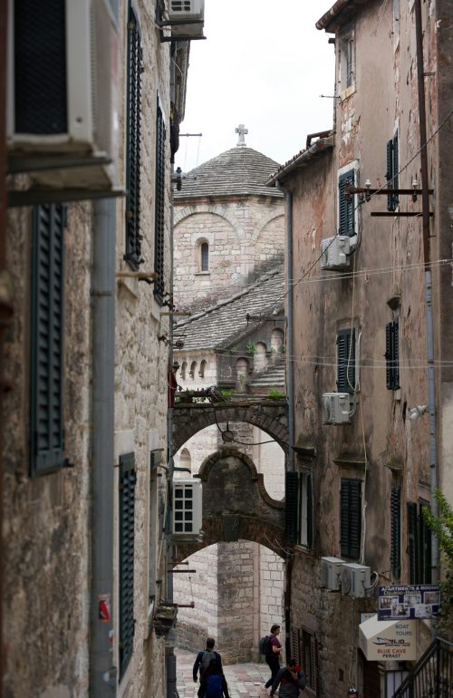 pexels-lensloji-264847388-31989314(1)