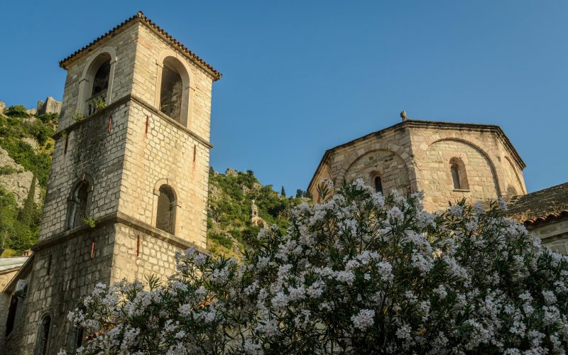 pexels-uros-drljaca-906314877-35311958